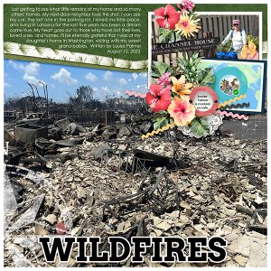 Wildfires