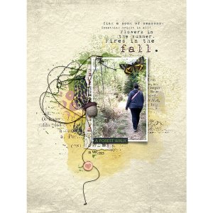 A forest walk