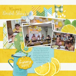 Megans Shower