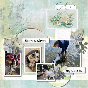 Home is Where My Dog is