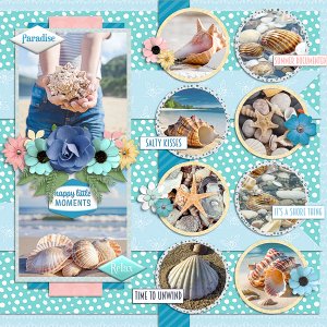 Seashells