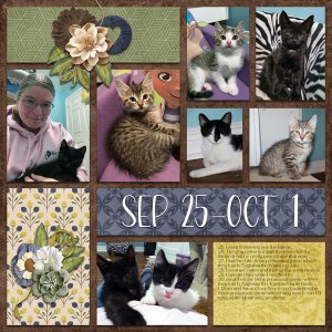 #2023 September Day2Day 2022 Week 40