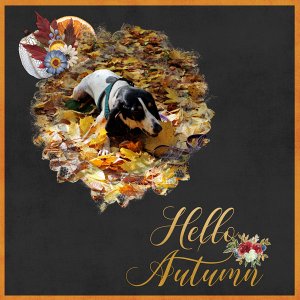 cute autumn memories
