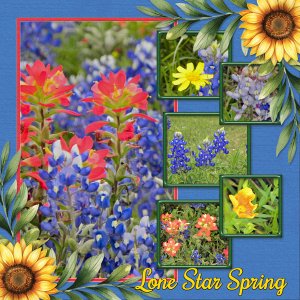 Lone Star Spring