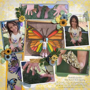 Butterfly