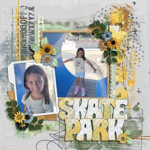 Skate Park