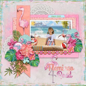 Flamingo Road