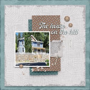 The house on the hill