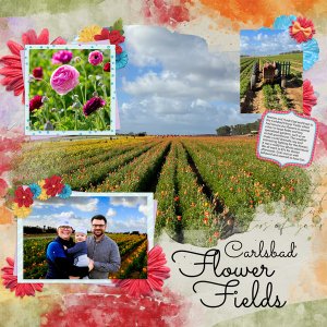 Flower Fields