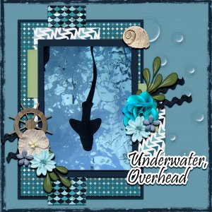 Underwater Overhead