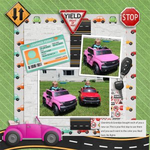 First_Car_Wren