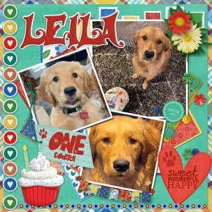 Happy Birthday Leila 2023