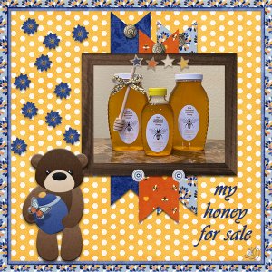 Nancy's honey for sale