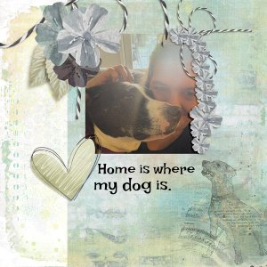 Home is Where My Dog Is