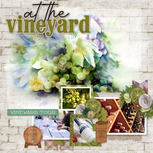 The Vineyard
