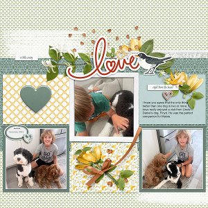 Love Dogs