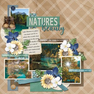 Nature's Beauty