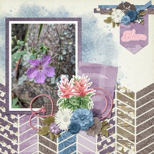 flower in the rocks