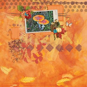 shades of autumn