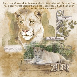 Zuri