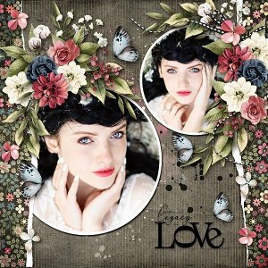 Legacy of Love {Bundle}
