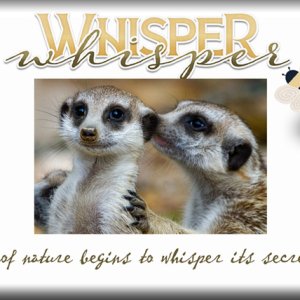 Whisper