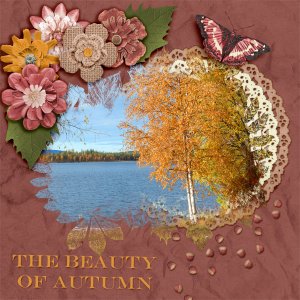 The-beauty-of-autumn2