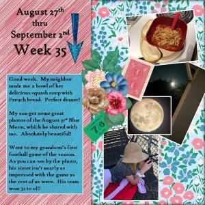 August 2023 Project 365 Challenge - Week 35