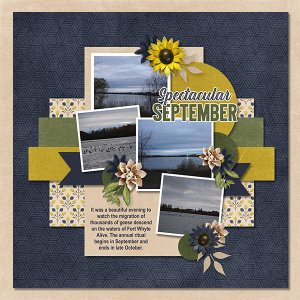 CP_2023 September
