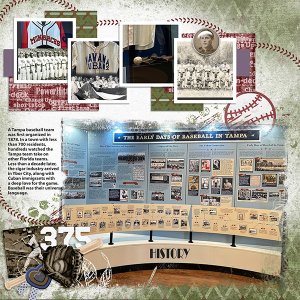 Tampa Baseball History