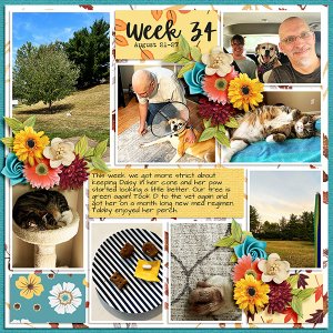 2023 PL Week 34