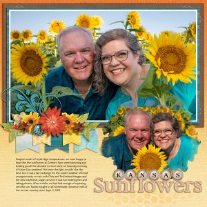 Kansas Sunflowers