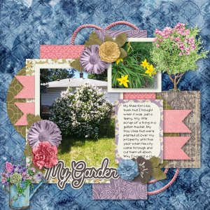 My Garden