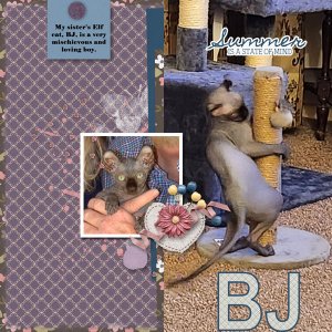 BJ