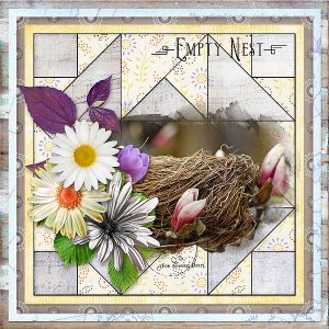 Empty Nest