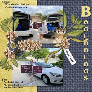 Beginnings