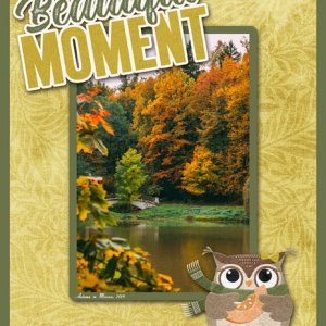 Beautiful Moment