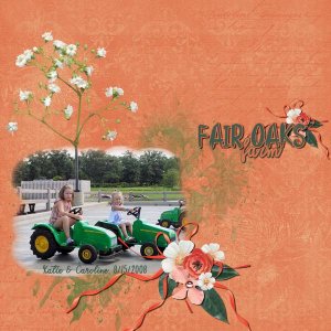 Fair Oaks Farm
