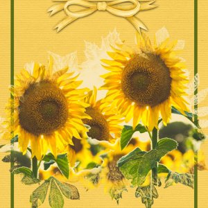Love, Gratitude, Joy
