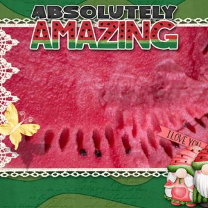 ABSOLUTELY AMAZING