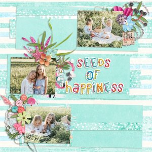 Seeds of Happiness
