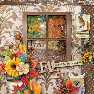 Autumn Window