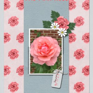 The Pink Rose