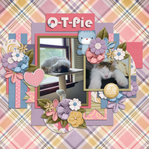 Q-T-Pie