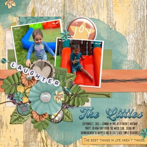 The Littles
