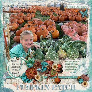Pumpkin Patch 2022