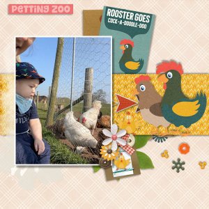 Chickens