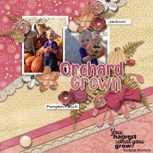 Orchard Grown