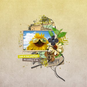 Sunflowers Brings Smiles