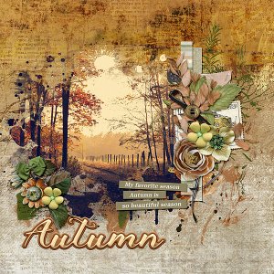 Sensing Autumn
